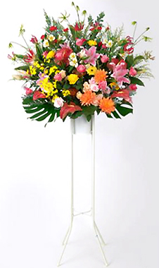 �X�^���h�ԁE1�i �F�~�b�N�X