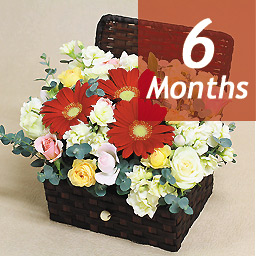 �G�߂̃A�����W�E�G�N�Z��-6���������-