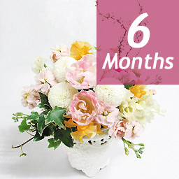 �G�߂̃A�����W�E�f���b�N�X-6���������-