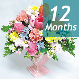 �G�߂̃A�����W�E�G�N�Z��-12���������-