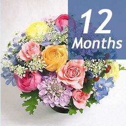 �G�߂̃A�����W�E�f���b�N�X-12���������-