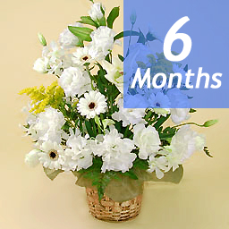 �������A�����W�E���X�y�N�g-6���������-