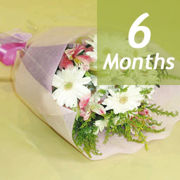 �������ԑ��E�������[-6���������-