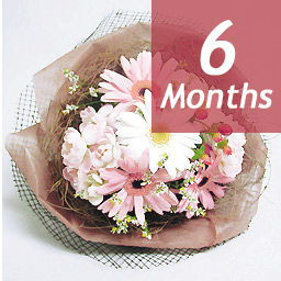 �G�߂̉ԑ�-6���������-