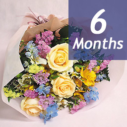 �G�߂̉ԑ��E�f���b�N�X-6���������-