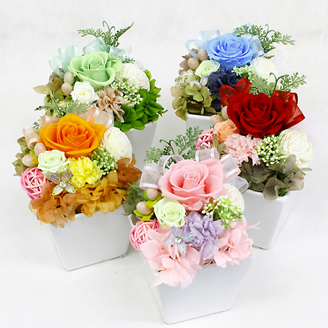 �v���U�[�u�h�A�����W�E�O�����̉Ԃ̑�z