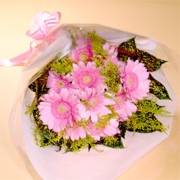 �K�[�x���̉ԑ��E�s���N