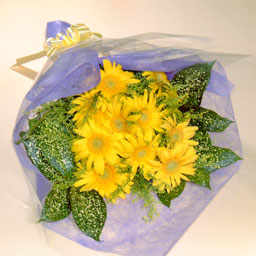 �K�[�x���̉ԑ��E�C�G���[