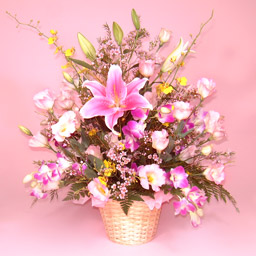 �؂₩�ȃ����̃A�����W