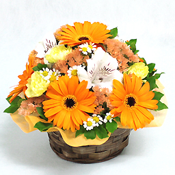 �A�C�X�N���[���E�A�v���R�b�g�E�A�����W