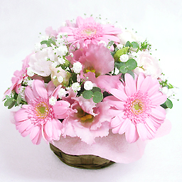 �A�C�X�N���[���E�s�[�`�E�A�����W