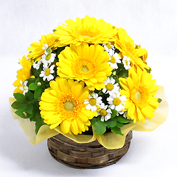 �������E�h���b�v