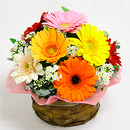 �~�b�N�X�E�h���b�v