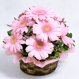 �s�[�`�E�h���b�v