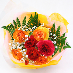 �t�����[�t�@�[�����a����